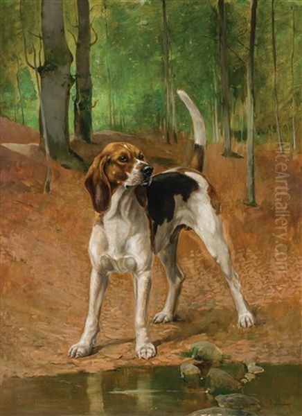 Portrait Of A Beagle Oil Painting by Alexander Pope