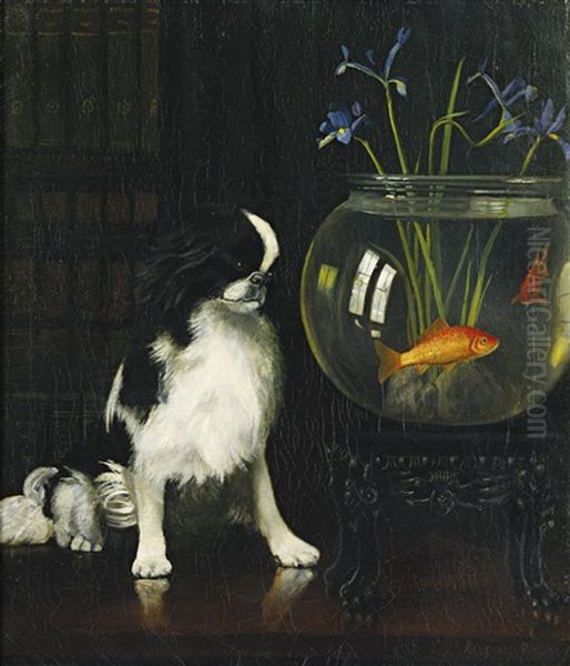 Japanese Chin And Goldfish Oil Painting by Alexander Pope