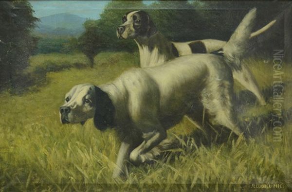 Pair Of Hunting Dogs Oil Painting by Alexander Pope