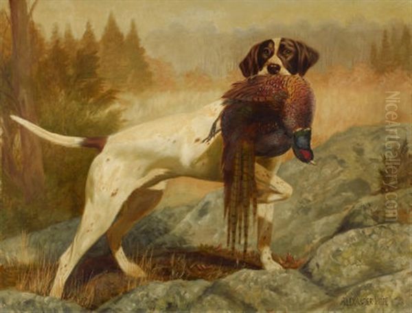 Pointer With Pheasant Oil Painting by Alexander Pope