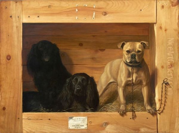 Dogs In A Kennel Oil Painting by Alexander Pope