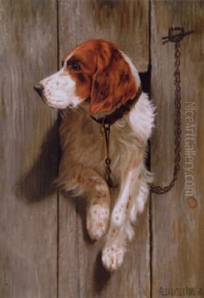 Awaiting His Master (an English Spaniel) Oil Painting by Alexander Pope