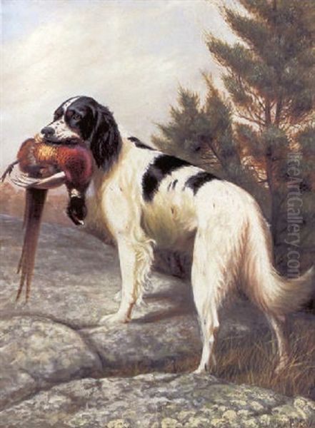 English Setter With Pheasant Oil Painting by Alexander Pope