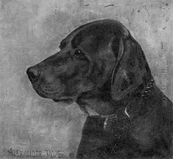 Portrait Of A Labrador Retriever Oil Painting by Alexander Pope