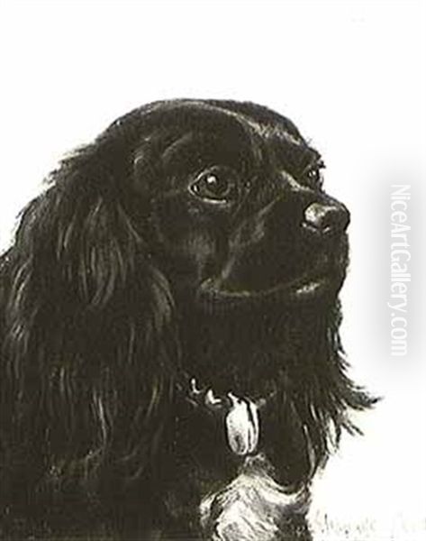 Vera, A Spaniel Oil Painting by Alexander Pope