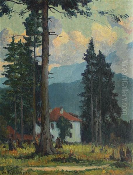 House In Predeal Oil Painting by Stefan Popescu