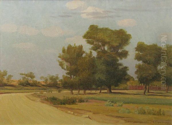 The Trees Near The Road Oil Painting by Stefan Popescu