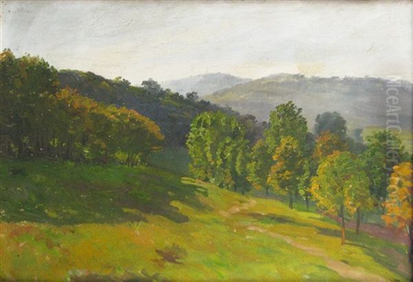 Hill Landscape Oil Painting by Alexandru Popp