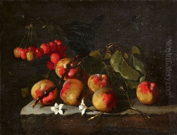 Still Life With Peaches, Cherries, And Jasmine Flowers Oil Painting by Paolo Porpora