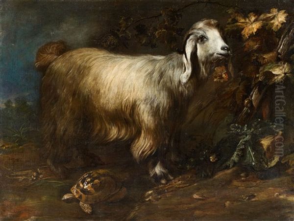 A Goat, Tortoise And Snail In A Forest Landscape Oil Painting by Paolo Porpora