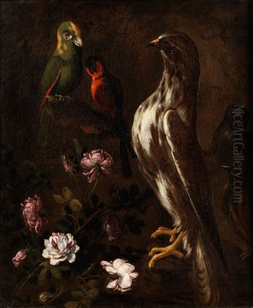 Stilleben Mit Vogeln Und Blumen Oil Painting by Paolo Porpora