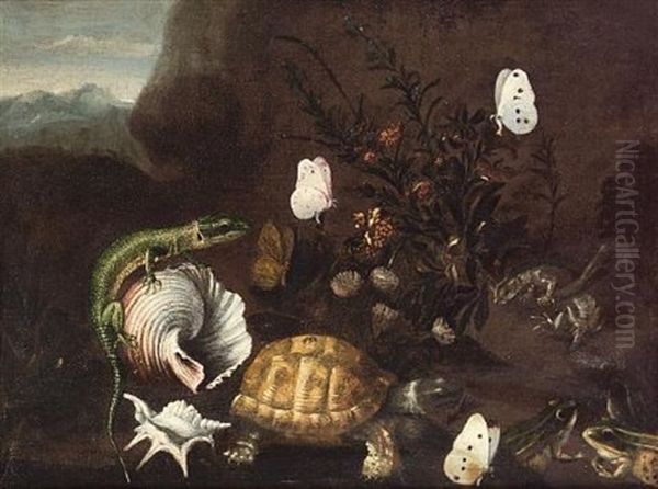 Frogs, A Tortoise And A Lizard On A Forest Floor With Shells And Butterflies Oil Painting by Paolo Porpora