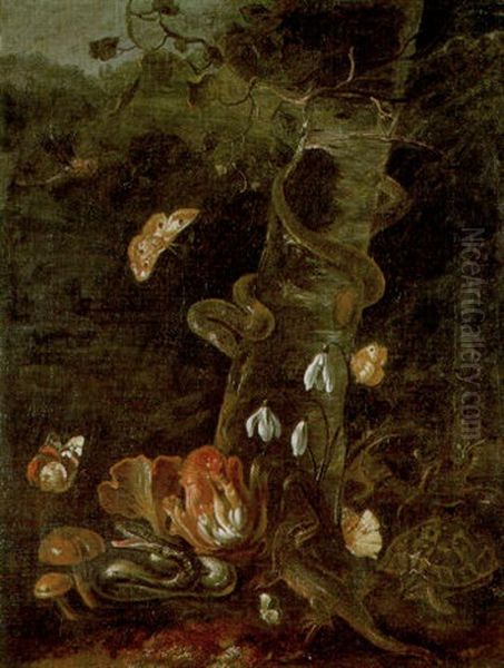 Snakes, A Lizard And A Tortoise Amid Mushrooms In The Undergrowth Oil Painting by Paolo Porpora