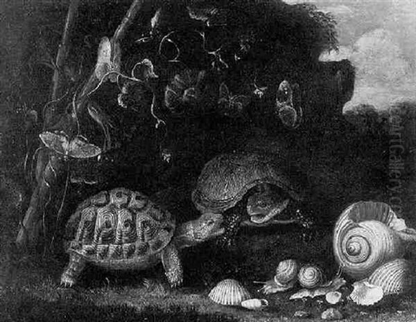 Still Life With Tortoises And Shells Oil Painting by Paolo Porpora