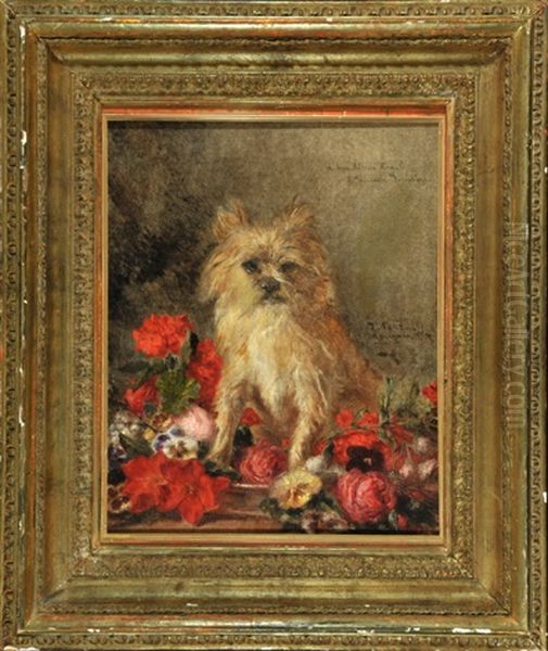 Weiser Malteser Tiny Auf Blumen Sitzend Oil Painting by Jean-Francois Portaels