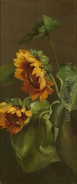 Sunflowers Oil Painting by Charles Porter