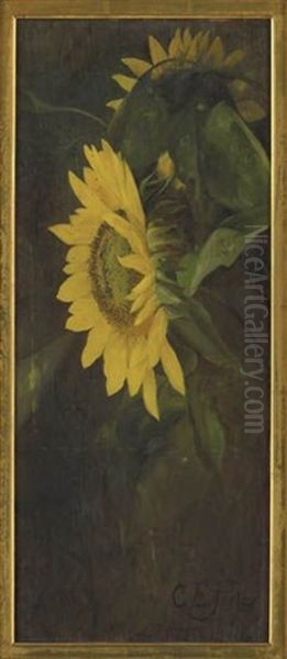 Sunflowers Oil Painting by Charles Porter