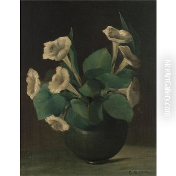 A Bowl Of Morning Glories Oil Painting by Charles Porter