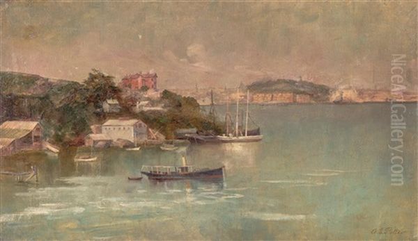 (sydney Harbour) Oil Painting by Adolphe Potter