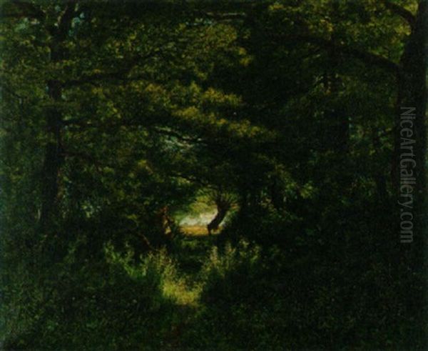 Dichte Waldlandschaft Mit Einem Holzfaller by Adolphe Potter