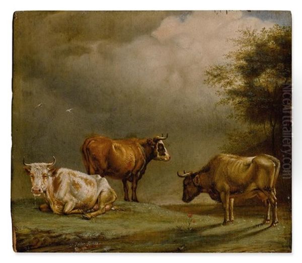 Three Cows In A Pasture Oil Painting by Paulus Potter