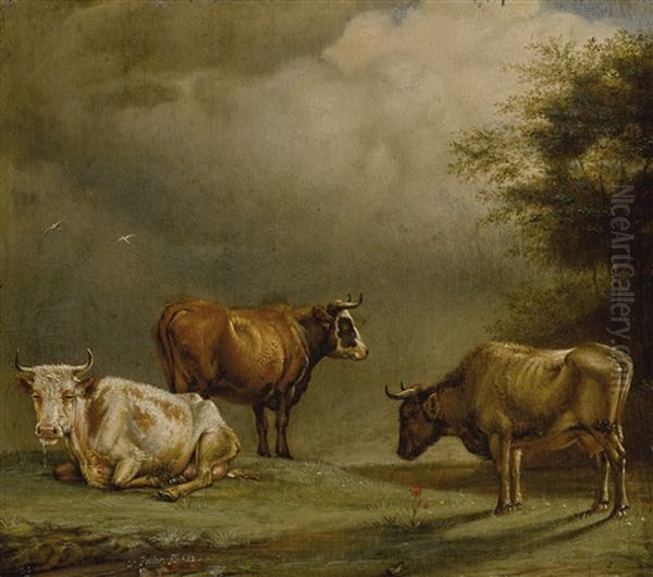 Three Cows In A Pasture Oil Painting by Paulus Potter