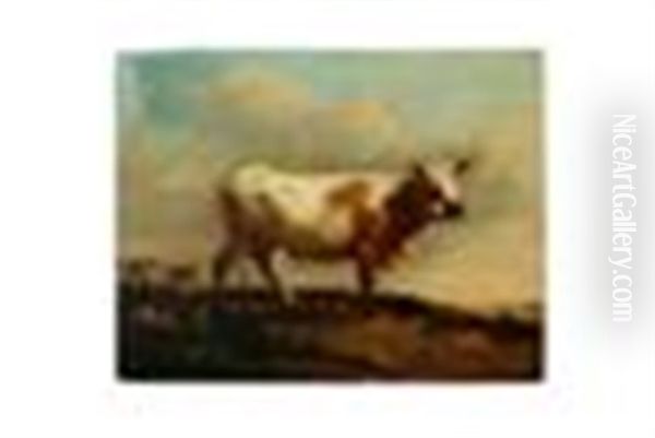 Landscape With Cow Oil Painting by Paulus Potter