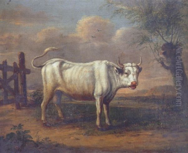 A Study Of A White Bull, Standing Beside A Gate And A Pollarded Willow Oil Painting by Paulus Potter