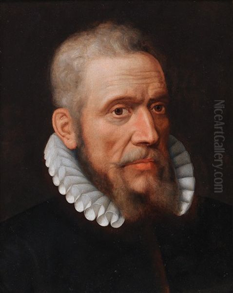 Portrait Of A Bearded Gentleman Oil Painting by Frans Pourbus the Elder