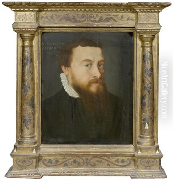 Portrait Eines Edelmannes Im Alter Von 46 Jahren Oil Painting by Frans Pourbus the Elder