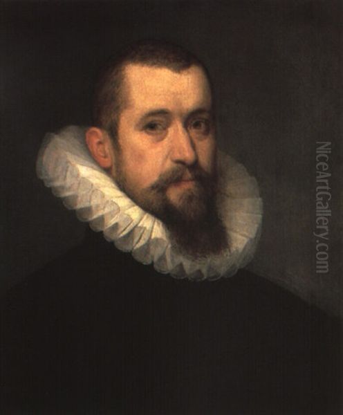 Portrait Of A Bearded Man Wearing A Black Doublet Oil Painting by Frans Pourbus the Elder