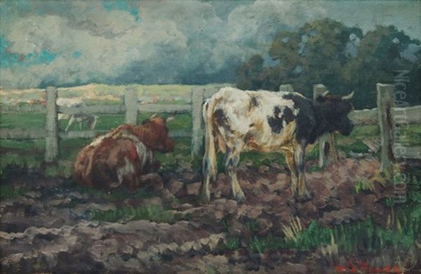 Cattle In A Paddock Oil Painting by Harold Septimus Power