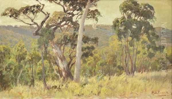 Carminow, Mt Lofty From Aldgate by Harold Septimus Power