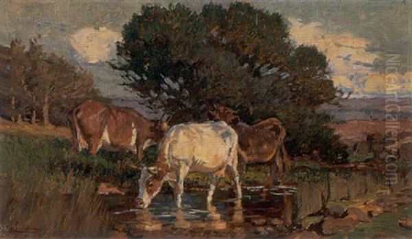 Cows At A Stream Oil Painting by Harold Septimus Power