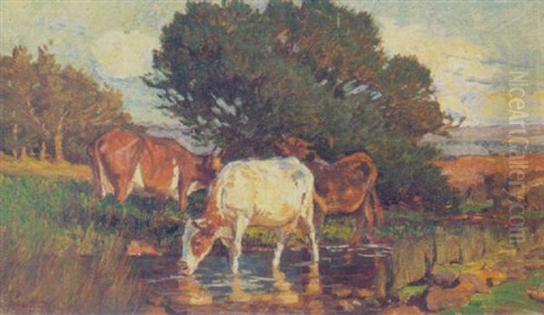 Cattle Drinking by Harold Septimus Power