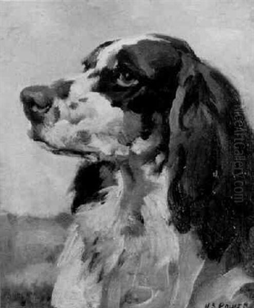 Spaniel by Harold Septimus Power