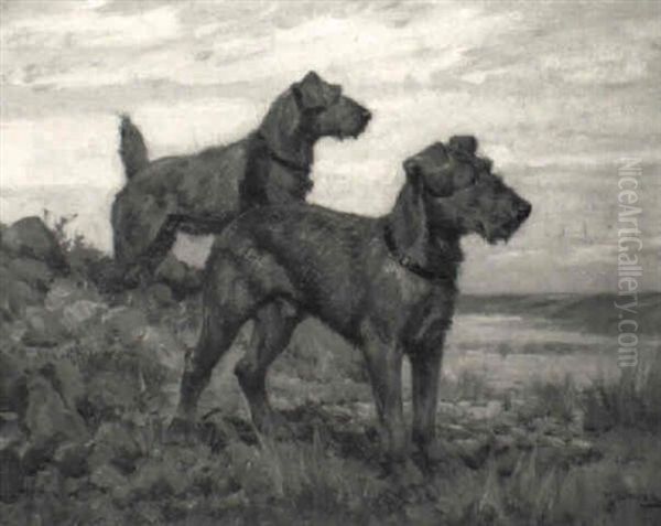 Terriers by Harold Septimus Power