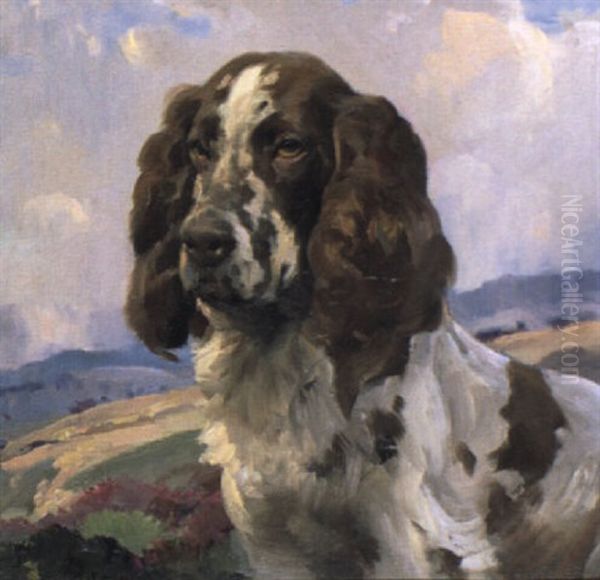 Spaniel by Harold Septimus Power