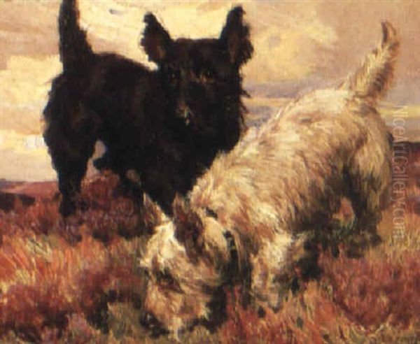 A Pair Of Highland Terries by Harold Septimus Power