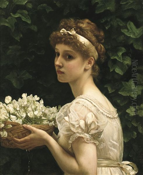 Pea Blossoms Oil Painting by Edward John Poynter