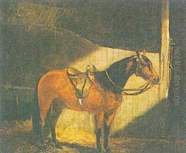 Saddled Horse In A Loose Box Oil Painting by Alfred F. De Prades