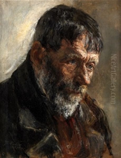 Retrato De Campesino Oil Painting by Francisco Pradilla y Ortiz