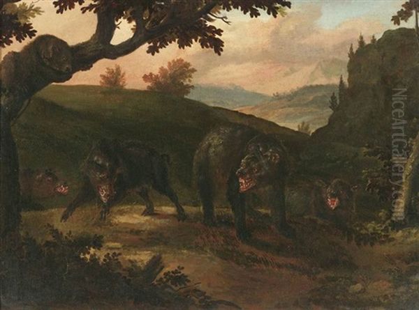 Wildschweine Umzingeln Einen Jungen Baren Am Waldesrand Oil Painting by Wenzel Ignaz Prasch