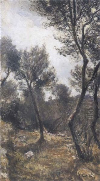 Olivi A Capri Oil Painting by Attilio Pratella