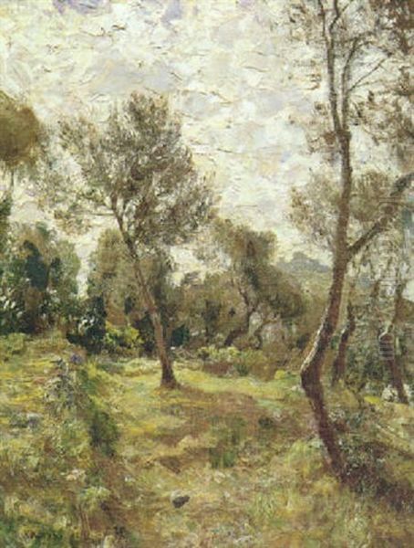 Ulivi Di Capri Oil Painting by Attilio Pratella