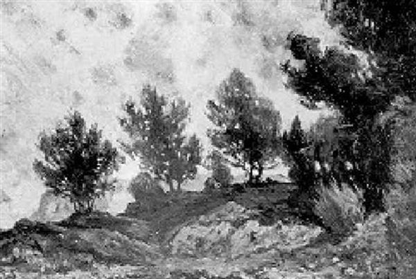 Paesaggio Con Alberi A Capri Oil Painting by Attilio Pratella