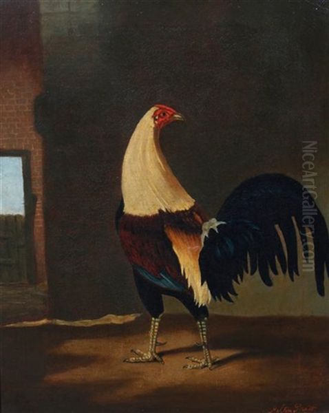 Rooster Oil Painting by Hilton Lark Pratt