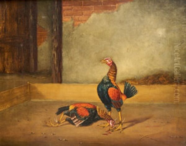 Cock Fighting Oil Painting by Hilton Lark Pratt