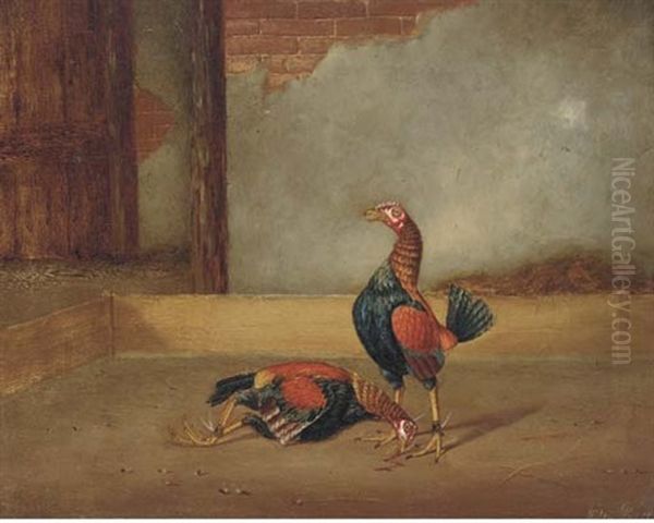 Fighting Cocks, The Death Oil Painting by Hilton Lark Pratt