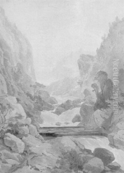 Alpenlandschaft Mit Wildbach Oil Painting by Friedrich Johann C.E. Preller the Elder